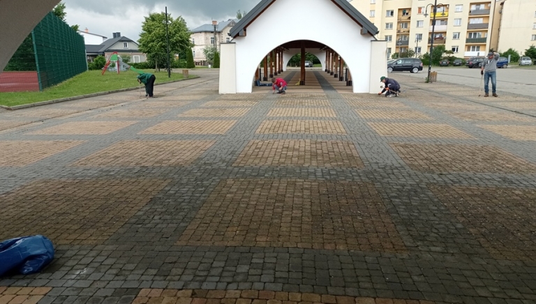 Zdjęcie główne newsa: CIS podsumował pierwszy miesiąc pracy