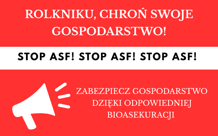 Zdjęcie główne newsa: Afrykański pomór świń