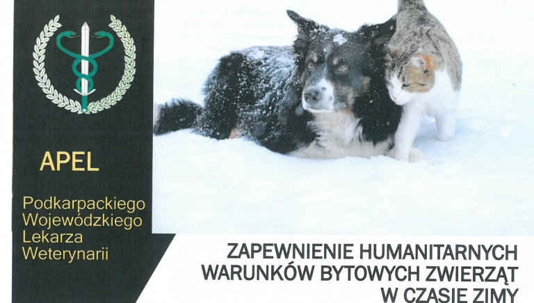 Zdjęcie główne newsa: Apel o zapewnienie humanitarnych warunków bytowych zwierząt w czasie zimy